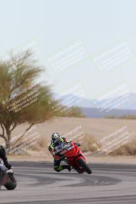 media/Nov-30-2025-TrackXperience (Sun) [[c0061d280f]]/2-Level 2/Session 6 Turn 4 Tree of Life/